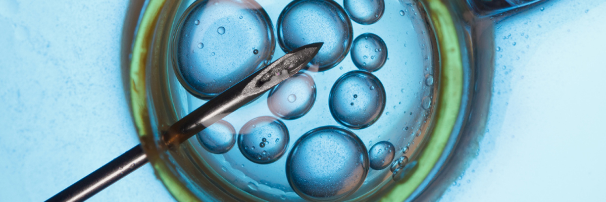 Fertility Services