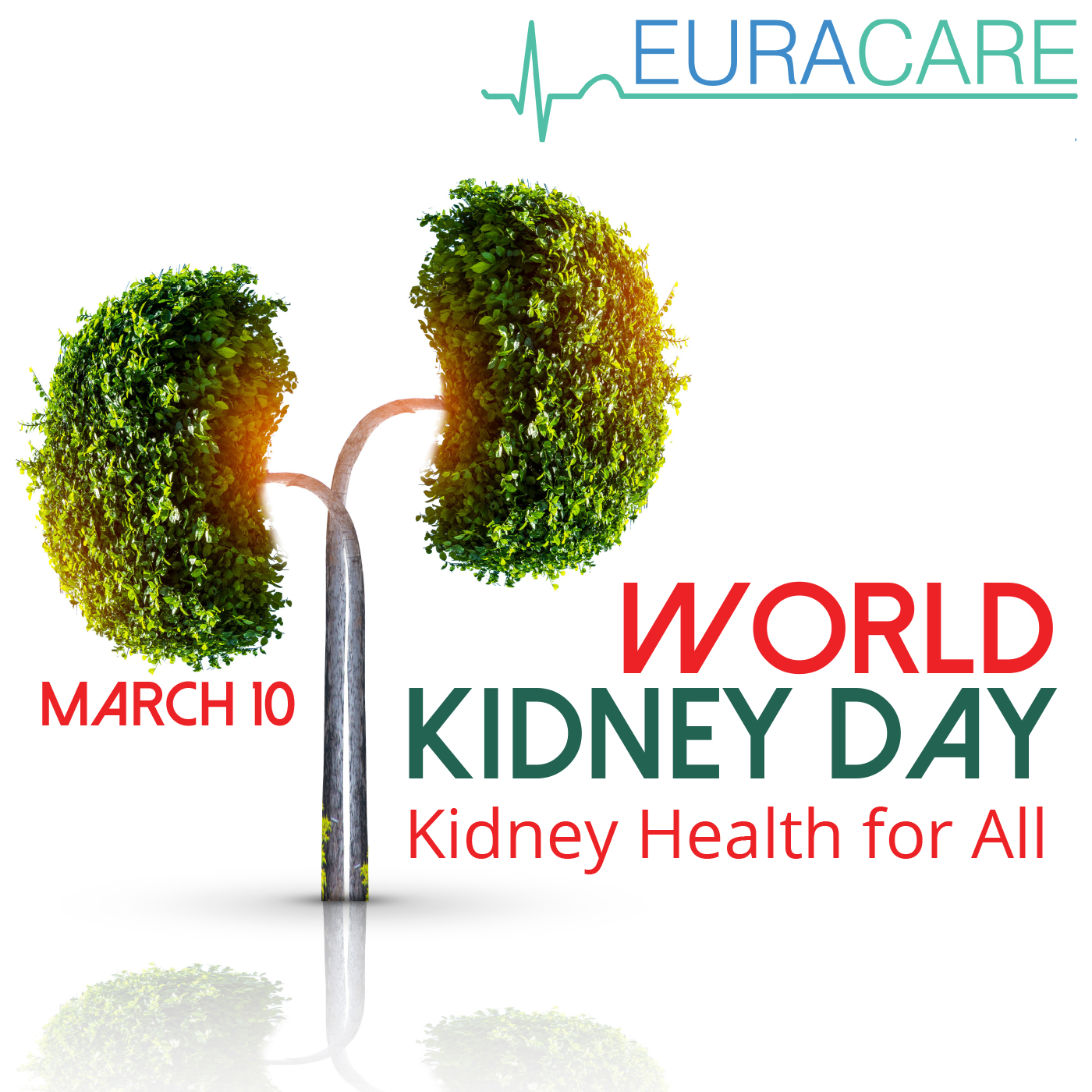 World Kidney Day 2022 – Kidney Health for All!