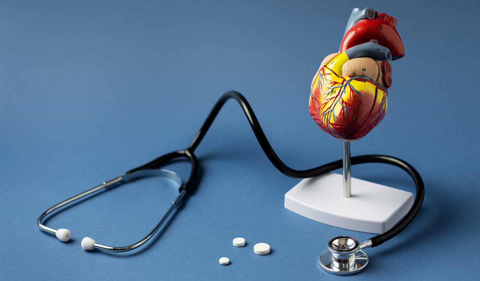 Exploring Heart Disease Treatment Options