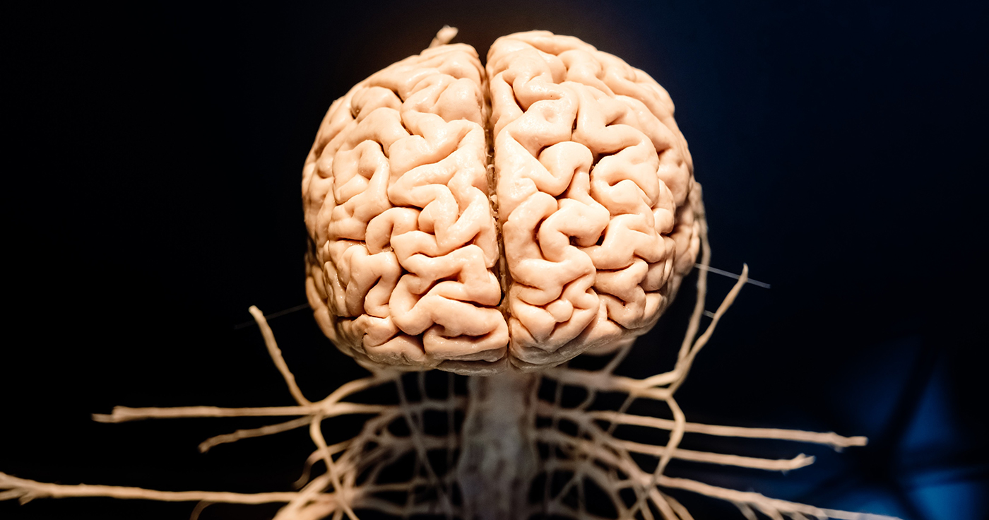 What Happens to Your Body During a Stroke?